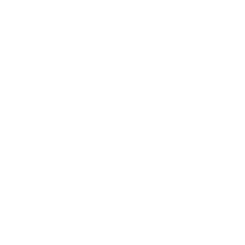 Bonita Tours LLC
